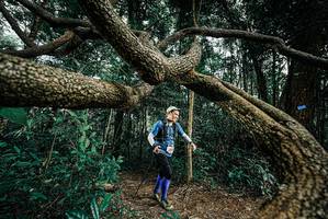 BIB: 
                            <button type="button" onclick="openModal(25705703)" class="btn btn-primary btn-sm float-right btn-popup" data-toggle="modal" data-target=".modal-high-quality">
                        <i class="fas fa-shopping-cart"></i> Add to Cart
                    </button>
                                            <button type="button" onclick="isThisMe(25705703, true)" class="btn btn-success btn-sm float-right btn-popup btn-isme hidden" data-toggle="tooltip" data-placement="bottom" title="นี่คือรูปของคุณใช่ไหม คลิกที่นี่เพื่อเอาเข้าอัลบั้ม">
                        <i class="fas fa-plus"></i> Add to album
                    </button>
                    <button type="button" onclick="isThisMe(25705703, false)" class="btn btn-warning btn-sm float-right btn-popup btn-isnotme hidden">
                        <i class="fas fa-ban"></i> Remove from album
                    </button>